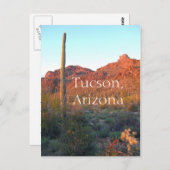 Saguaro Nationalpark Tucson, Arizona Postkarte (Vorne/Hinten)
