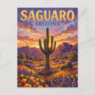Saguaro-Nationalpark USA Postkarte