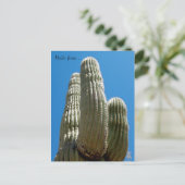 Saguaro Postcard Postkarte (Stehend Vorderseite)