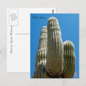 Saguaro Postcard Postkarte (Vorne/Hinten)