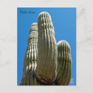 Saguaro Postcard Postkarte