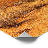 Saguaro Poster (Ecke)