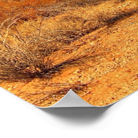 Saguaro Poster (Ecke)