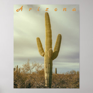 Saguaro Poster