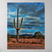 Saguaro Poster (Vorne)