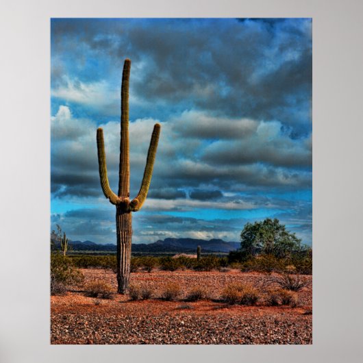 Saguaro Poster (Vorne)