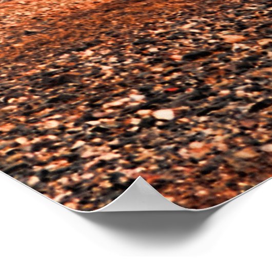 Saguaro Poster (Ecke)