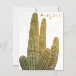 Saguaro Postkarte