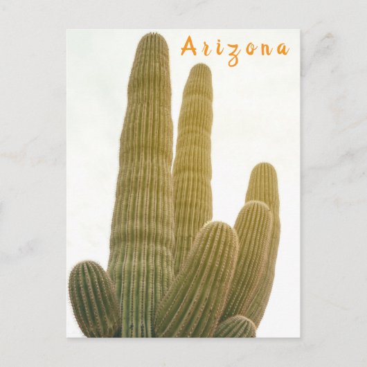 Saguaro Postkarte (Vorderseite)