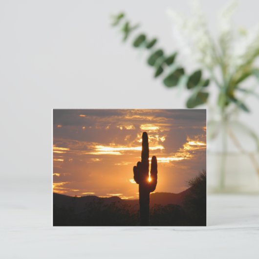 Saguaro Rays Postkarte (Stehend Vorderseite)