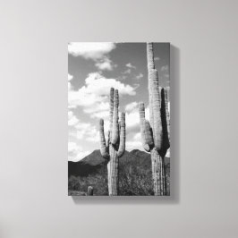 Saguaro Sentinels Foto Leinwand (AZ Sonoran Desert