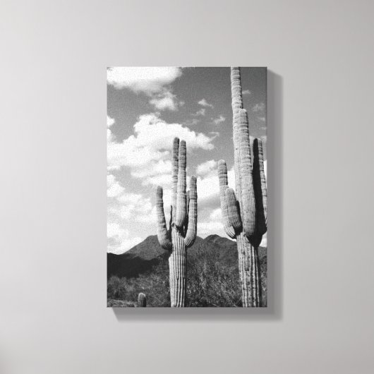 Saguaro Sentinels Foto Leinwand (AZ Sonoran Desert (Vorderseite)