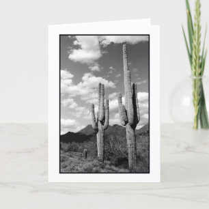 Saguaro Sentinels Grußkarte Karte