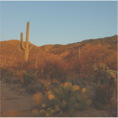 Saguaro-Sonnenuntergang I Landschaft der Arizona-W Aufkleber (Vorderseite)