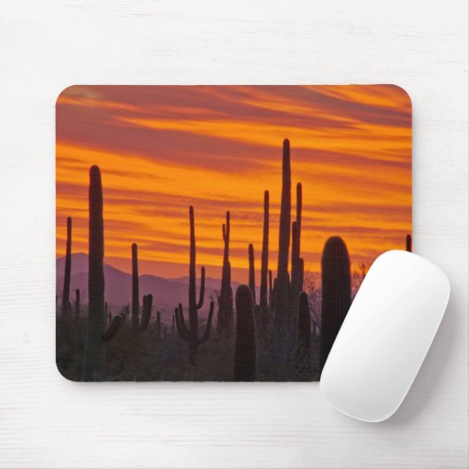 Saguaro, Sonnenuntergang, Nationalpark Saguaro Mousepad (Mit Mouse)