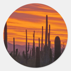Saguaro, Sonnenuntergang, Nationalpark Saguaro Runder Aufkleber