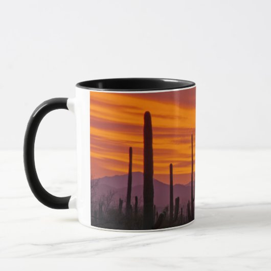 Saguaro, Sonnenuntergang, Nationalpark Saguaro Tasse (Links)