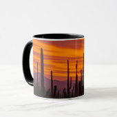 Saguaro, Sonnenuntergang, Nationalpark Saguaro Tasse (Vorderseite Links)