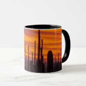 Saguaro, Sonnenuntergang, Nationalpark Saguaro Tasse (VorderseiteRechts)