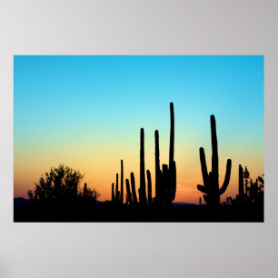 Saguaro-Sonnenuntergang Poster