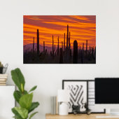 Saguaro, Sonnenuntergang, Saguaro Nationalpark Poster (Heimbüro)