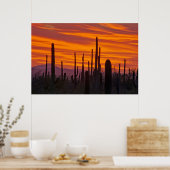 Saguaro, Sonnenuntergang, Saguaro Nationalpark Poster (Küche)