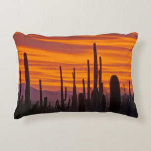 Saguaro, Sonnenuntergang, Saguaro-Nationalpark Zierkissen