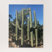 Saguaro Stand Puzzle (Vertikal)