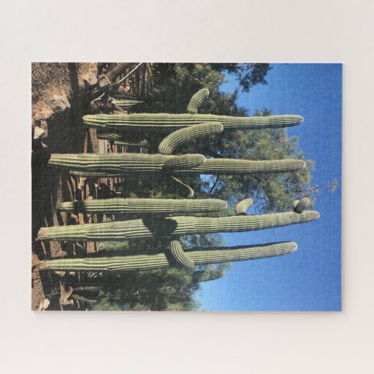 Saguaro Stand Puzzle (Horizontal)