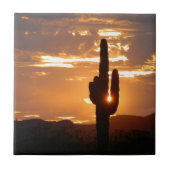 Saguaro-Strahlen Fliese (Vorderseite)