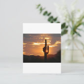 Saguaro-Strahlen Postkarte (Stehend Vorderseite)