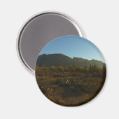 Saguaro Sunrise in Saguaro Nationalpark Magnet (Vorderseite/Rückseite)