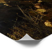 Saguaro Sunrise in Saguaro Nationalpark Poster (Ecke)