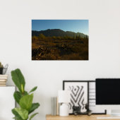 Saguaro Sunrise in Saguaro Nationalpark Poster (Heimbüro)