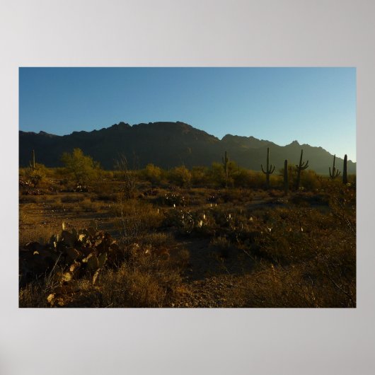 Saguaro Sunrise in Saguaro Nationalpark Poster (Vorne)