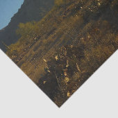 Saguaro Sunrise in Saguaro Nationalpark Seidenpapier (Ausschnitt)