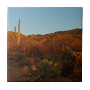 Saguaro Sunset I Arizona Wüste Landschaft Fliese