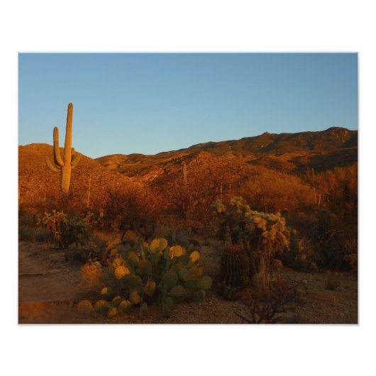 Saguaro Sunset I Arizona Wüste Landschaft Fotodruck (Vorne)
