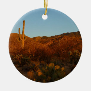 Saguaro Sunset I Arizona Wüste Landschaft Keramikornament