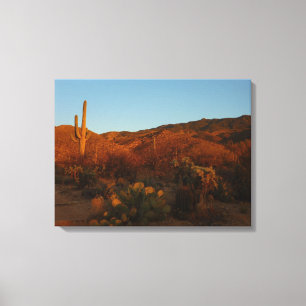 Saguaro Sunset I Arizona Wüste Landschaft Leinwanddruck
