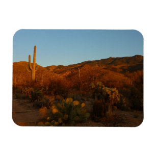 Saguaro Sunset I Arizona Wüste Landschaft Magnet