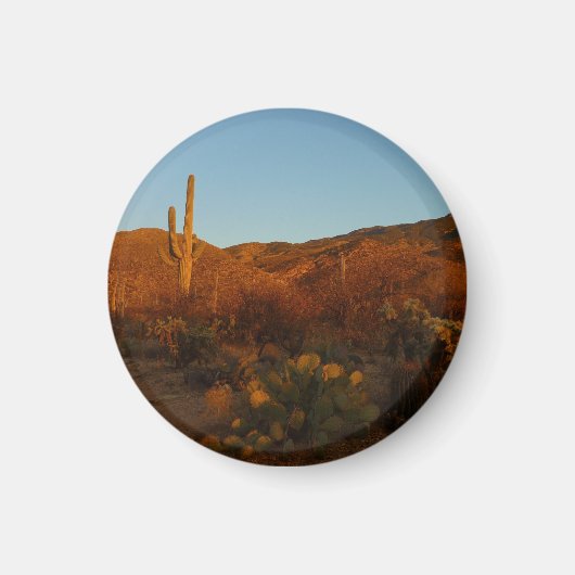 Saguaro Sunset I Arizona Wüste Landschaft Magnet (Vorne)