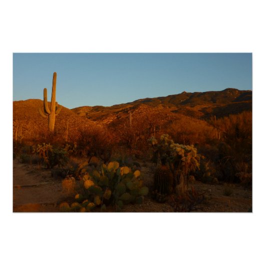 Saguaro Sunset I Arizona Wüste Landschaft Poster (Vorderseite)
