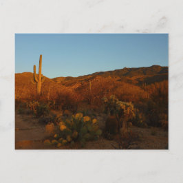 Saguaro Sunset I Arizona Wüste Landschaft Postkarte