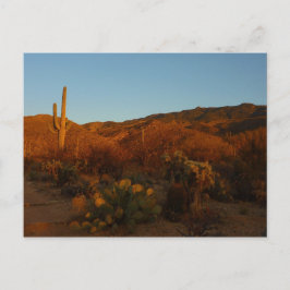 Saguaro Sunset I Arizona Wüste Landschaft Postkarte