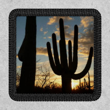 Saguaro Sunset II Arizona Wüste Landschaft