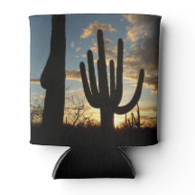 Saguaro Sunset II Arizona Wüste Landschaft