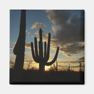 Saguaro Sunset II Arizona Wüste Landschaft Magnet