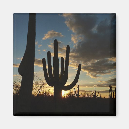 Saguaro Sunset II Arizona Wüste Landschaft Magnet (Vorne)