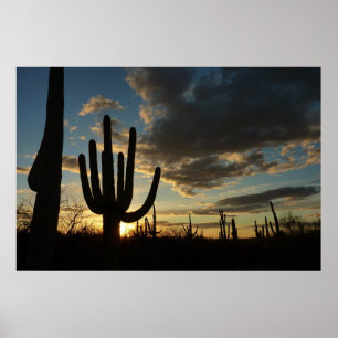 Saguaro Sunset II Arizona Wüste Landschaft Poster
